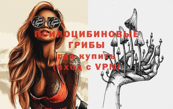 СК Кинешма