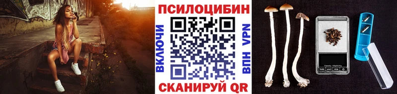 Псилоцибиновые грибы Psilocybine cubensis  Купить  Верхняя Пышма 